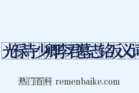 光禄寺少卿李君墓志铭反义词是什么意思的图片